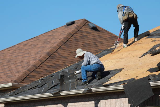Best Sheet Metal Roofing  in Woods Cross, UT