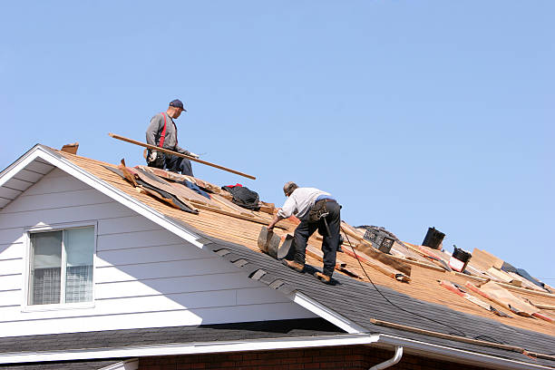 Best Skylight Installation and Repair  in Woods Cross, UT